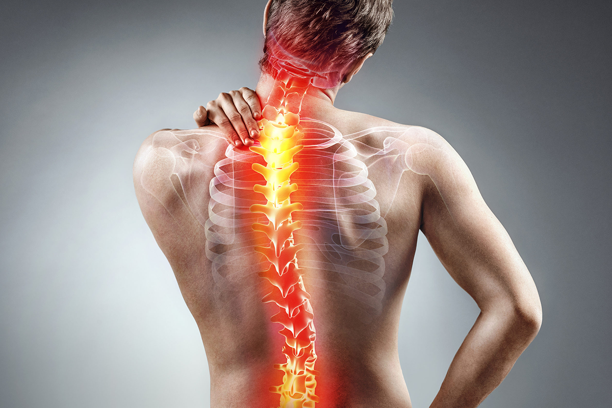 Types of Spine Pain: Causes, Symptoms, and Relief Techniques