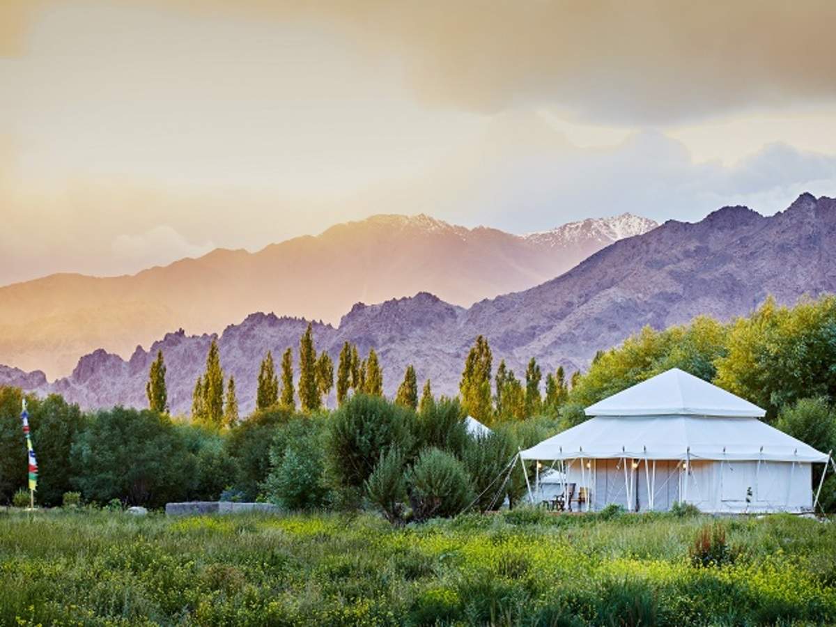 Best Places For Glamping In Leh Ladakh